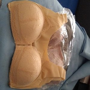 Women's Bras